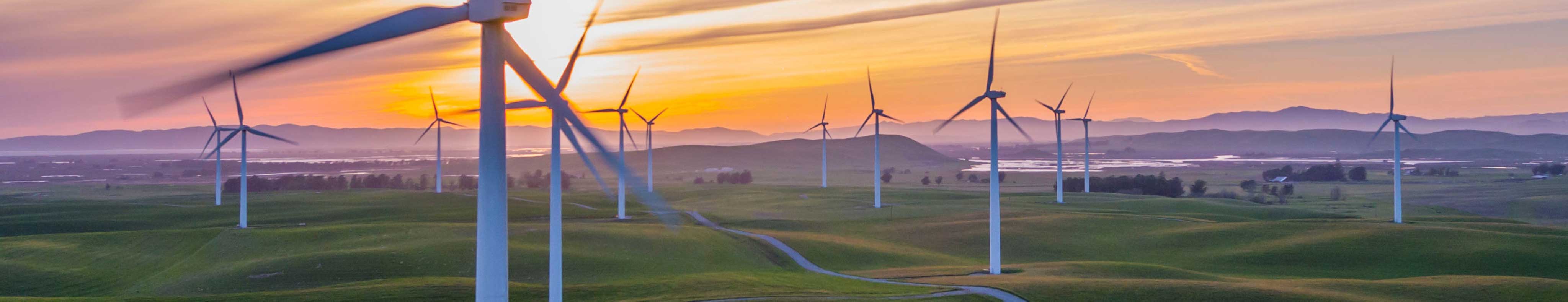 Compromiso, Calidad y Respeto por el Medio Ambiente – Comoli Maquinaria Responsabilidad Social Corporativa